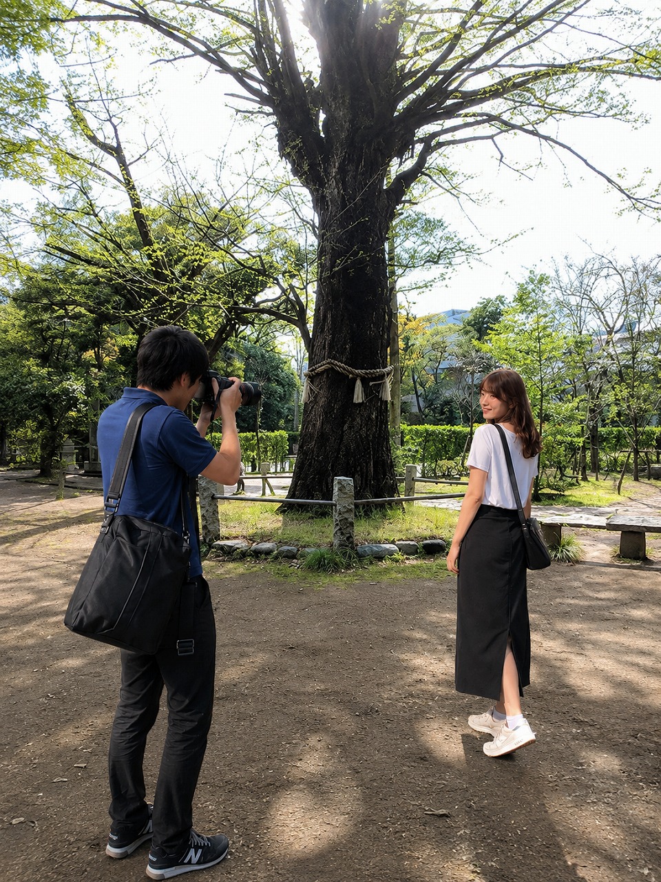 赤坂氷川神社、大イチョウ、佐久間とやよい
