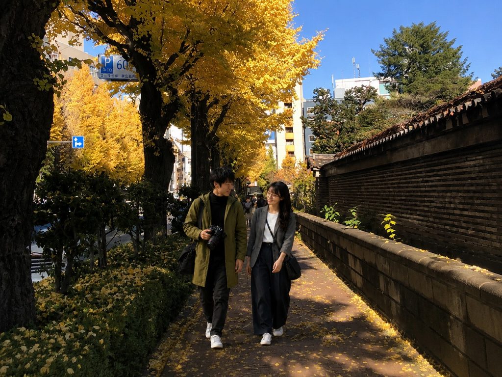 神田明神、お茶の水銀杏並木、佐久間とやよい