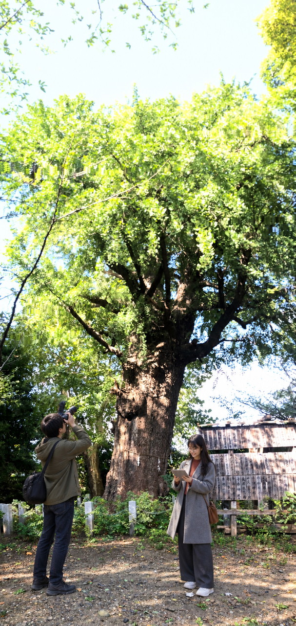芝東照宮、佐久間とやよい